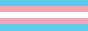 Button: Trans flag